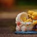 navigate parenting differences with the arrival of a new baby